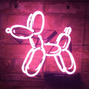 Meet your Posher, Payton